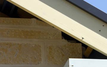 soffit repair Town Park